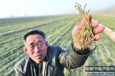 南凍北旱“驚動”世界氣象組織(組圖)