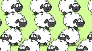“羊了个羊”被通报：欺骗误导强迫用户